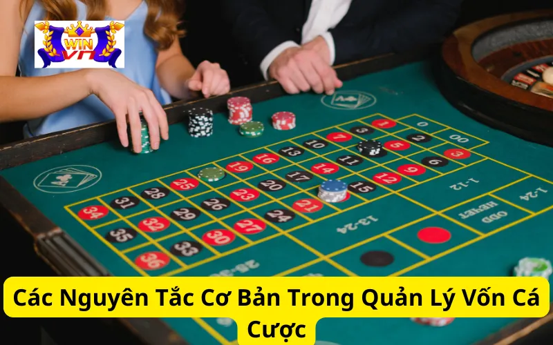 Các Nguyên Tắc Cơ Bản Trong Quản Lý Vốn Cá Cược