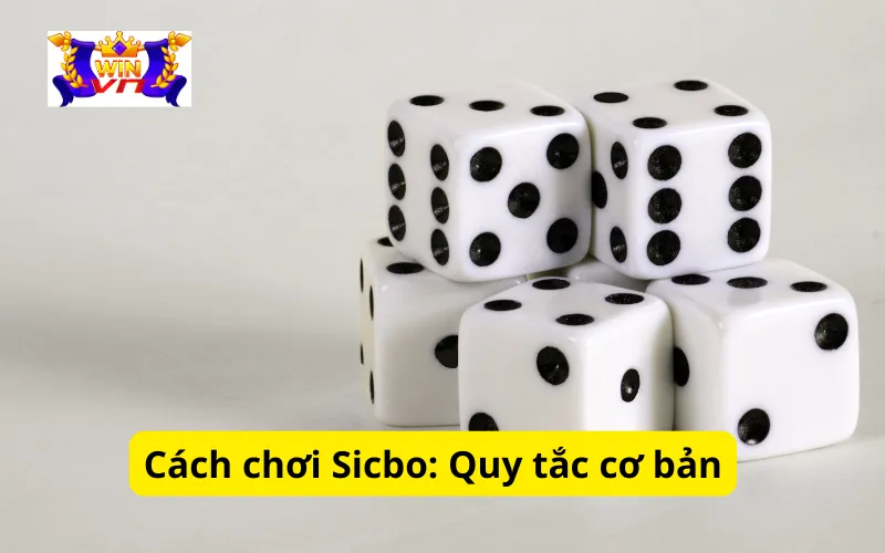 Cách chơi Sicbo: Quy tắc cơ bản