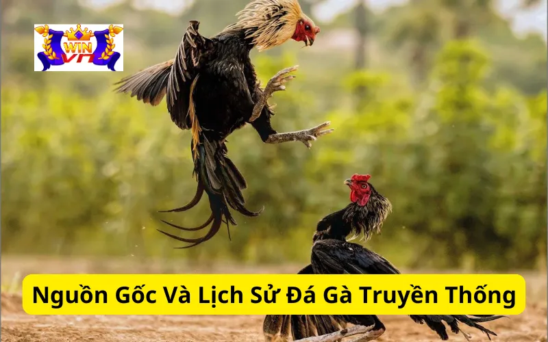 Nguồn Gốc Và Lịch Sử Đá Gà Truyền Thống