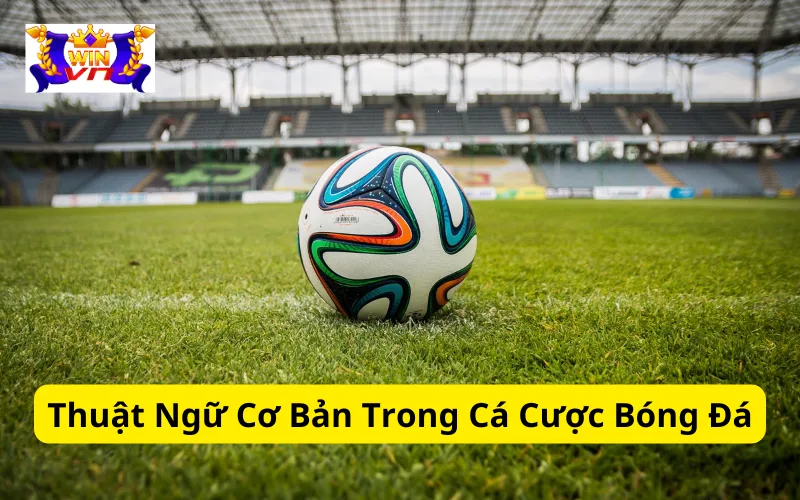 Thuật Ngữ Cơ Bản Trong Cá Cược Bóng Đá