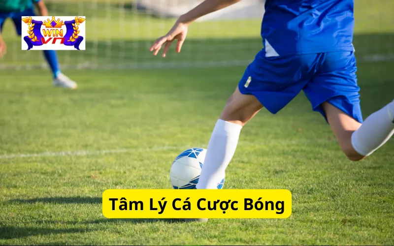 Tâm Lý Cá Cược Bóng