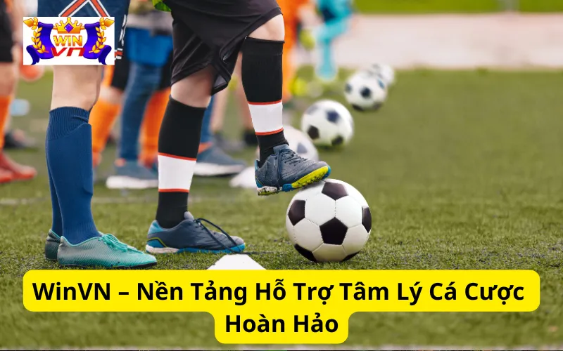 WinVN – Nền Tảng Hỗ Trợ Tâm Lý Cá Cược Hoàn Hảo