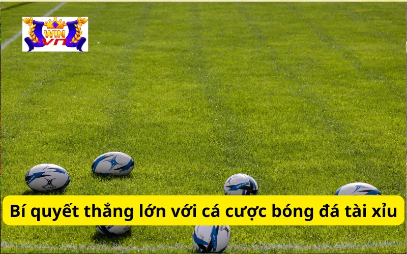 Bí quyết thắng lớn với cá cược bóng đá tài xỉu