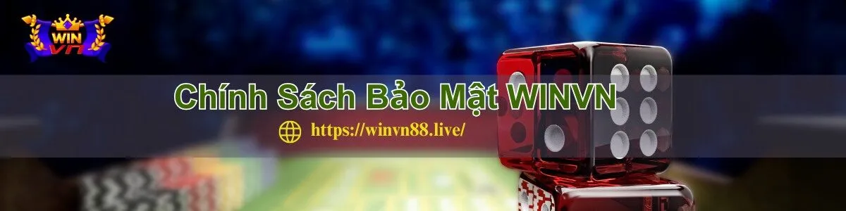 winvn-chinh-sach-bao-mat